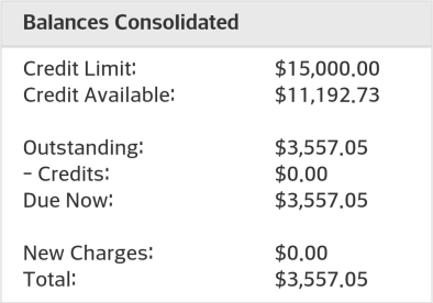 Balances Consolidated